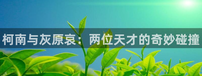 汗汗漫画阅读无限下拉式