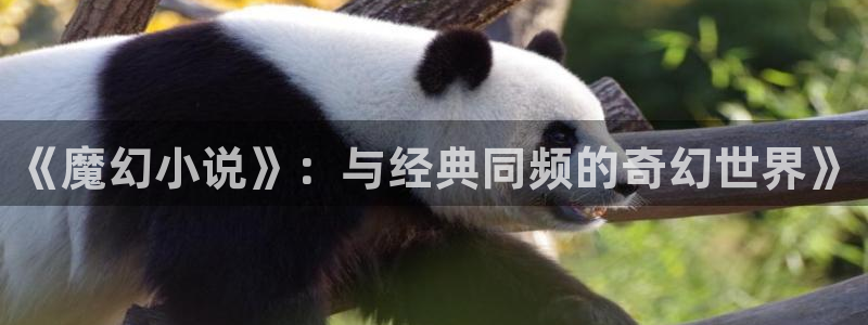 汗汗漫画免费观看在线