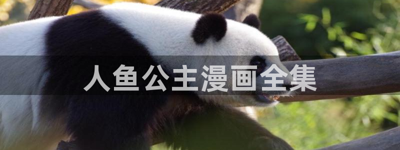 汗汗漫画肉
