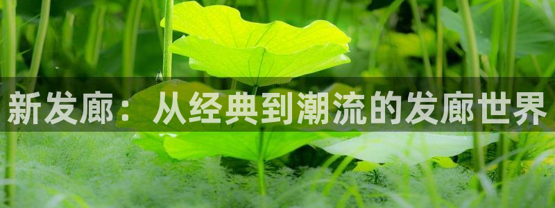 汗汗漫画在线观看网站