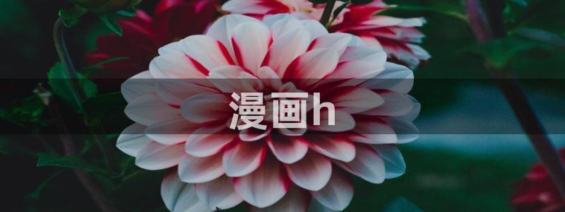汗汗漫画免费下拉：漫画h