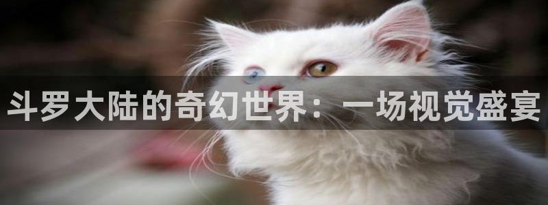 为什么汗汗漫画一直在读取中：斗罗大陆的奇幻世界：一场视觉盛宴