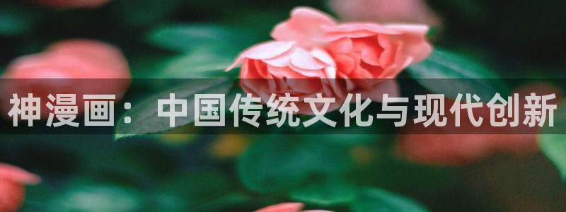 韩国歪歪汗汗漫画：神漫画：中国传统文化与现代创新