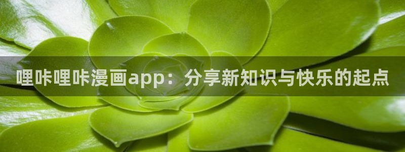 汗汗漫画羞羞首页入口在线免费阅读漫画