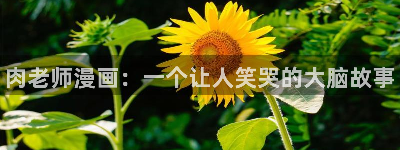 汗汗漫画秘密教学